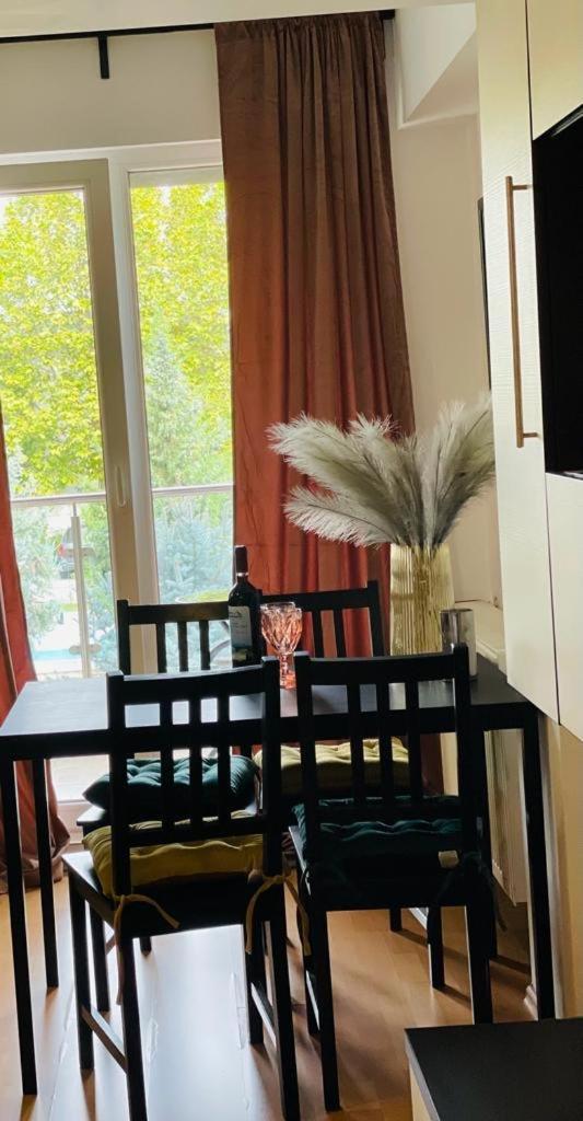 Tranzzit Airport Apartament Otopeni Zewnętrze zdjęcie