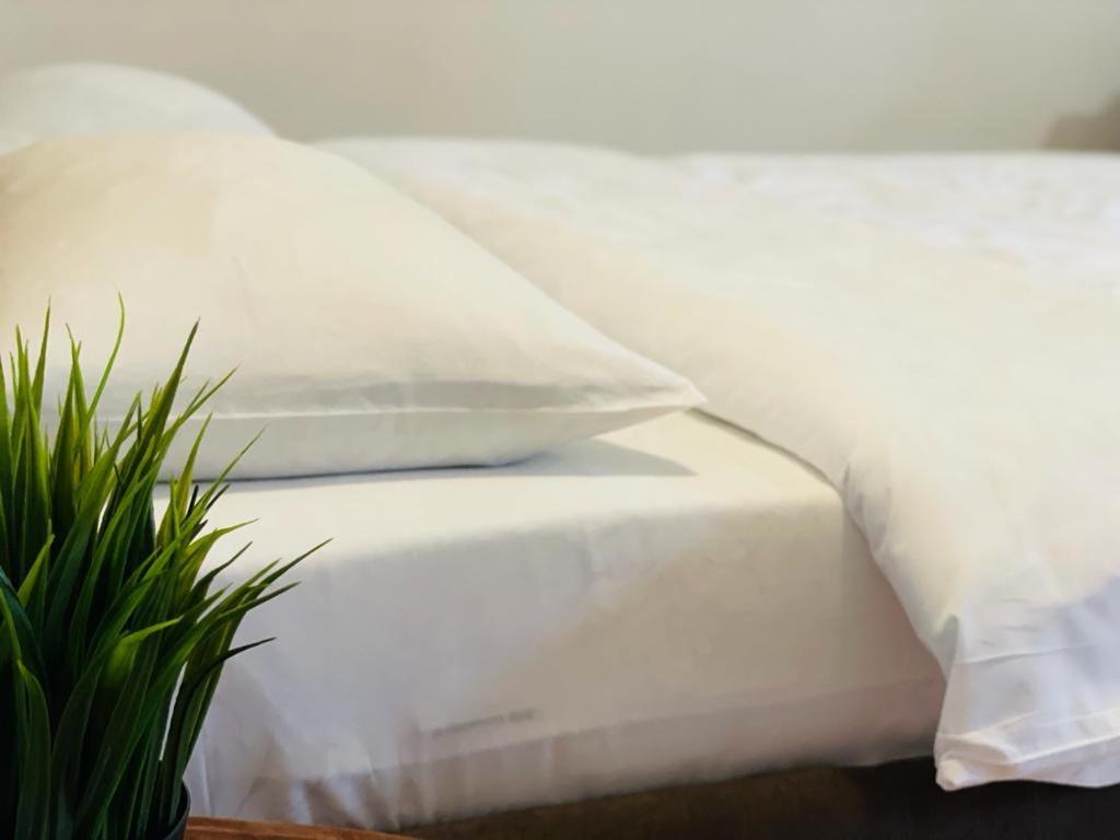 Tranzzit Airport Apartament Otopeni Zewnętrze zdjęcie
