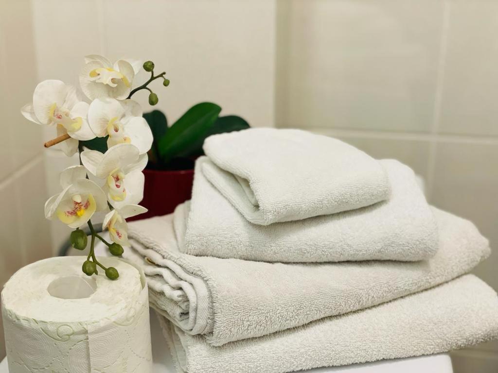 Tranzzit Airport Apartament Otopeni Zewnętrze zdjęcie