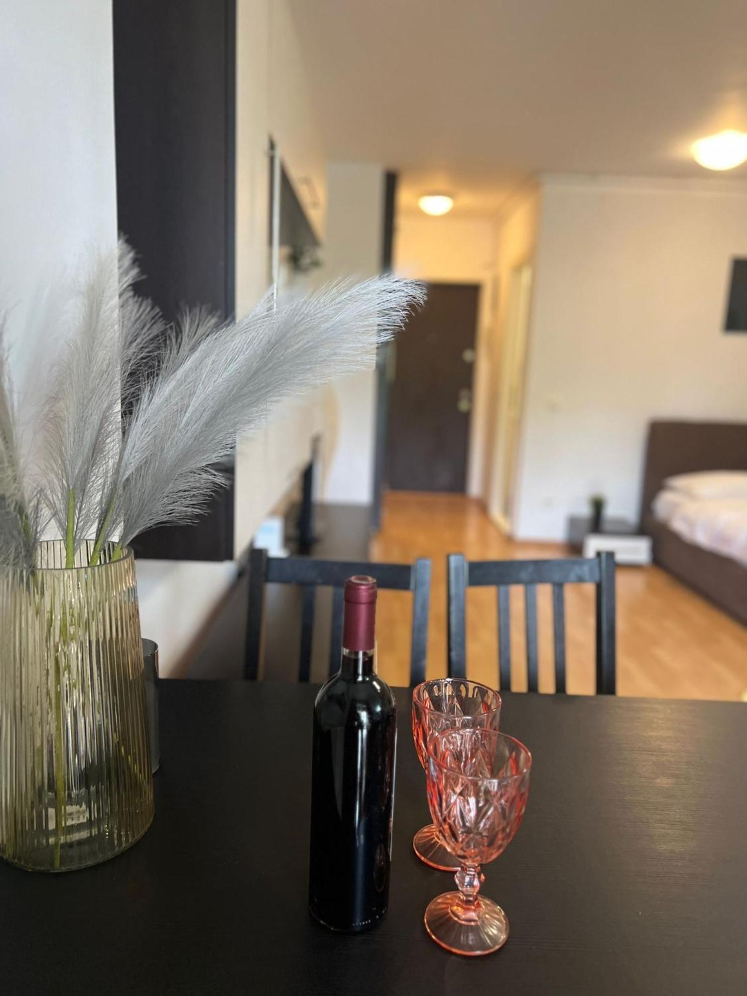 Tranzzit Airport Apartament Otopeni Zewnętrze zdjęcie